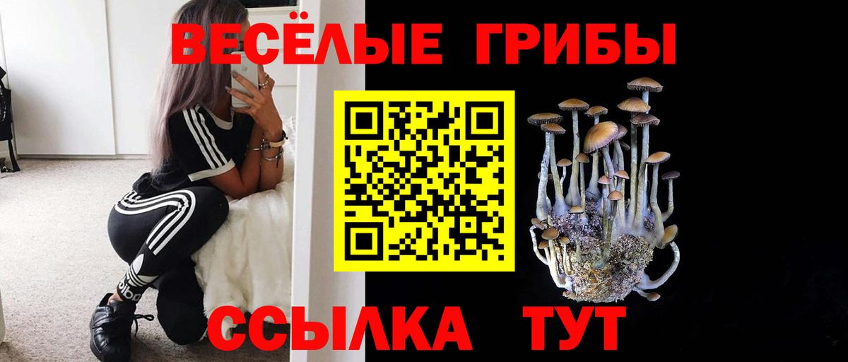 Галлюциногенные грибы MAGIC MUSHROOMS Пугачёв