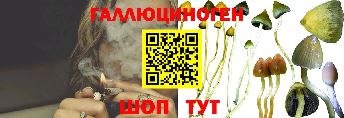Пугачёв  Галлюциногенные грибы Magic Shrooms  Вход с VPN 